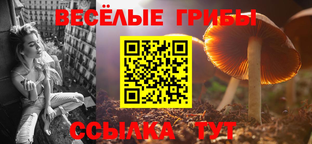 сколько стоит  Галлюциногенные грибы Cubensis  Вход с VPN  Апатиты 