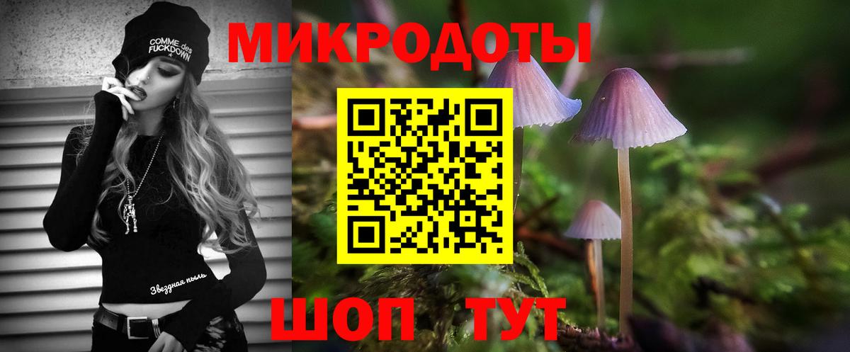 Галлюциногенные грибы ЛСД Апатиты